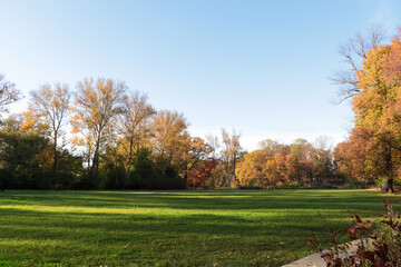 Plakat Picturesque view of park with beautiful trees and green grass on sunny day. Autumn season