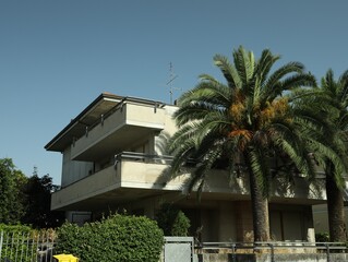 Fototapeta premium Beautiful palm trees and residential building with balconies on sunny day