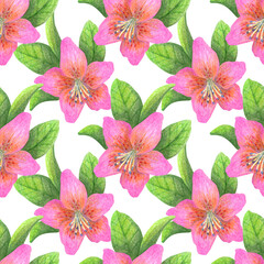 Seamless pattern with tropical flowers. Color illustration. Drawn with colored pencils. The print is used for Wallpaper design, fabric, textile, packaging.