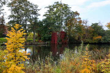 Picturesque view of river and trees in beautiful park. Autumn season