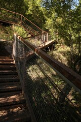 View of empty old stairs in park