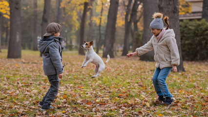 Fototapeta premium Caucasian children are walking with jack russell terrier in autumn park. Boy, girl and dog are jumping outdoors.