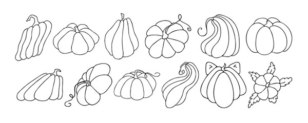 Fototapeta na wymiar Autumn design template, hand drawn pumpkins, flat vector illustration