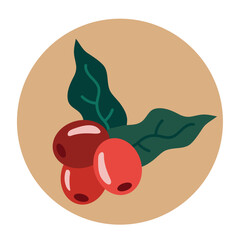 coffee grains and leafs