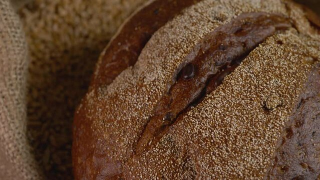Dark bread baked with rye flour. Yellow ripe dry wheat pour on wooden surface. Growth nature harvest or natural product concept. Rural agriculture. Plant or cultivate crop. Raw organic eco food