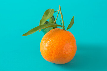 Tangerine with a sprig of green leaves on a turquoise background