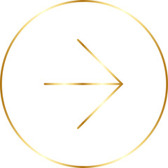Thin Gold Arrow Design Element