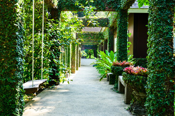 A shady arboretum in Chiang Mai Province
