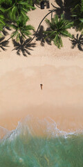 Aerial Drone View of Tropical Beach Paradise with Palm Trees and Woman
