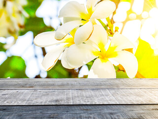 empty old wooden table  white frangipani flower background with sunlight  product advertisement design template background