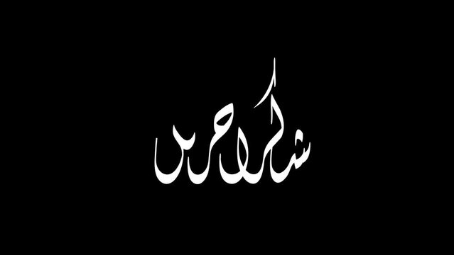 Shukran jazilan handwriting Arabic calligraphy animated used for your outro or other video in 4K. Shukran jazilan mean thank you very much in Arabic.