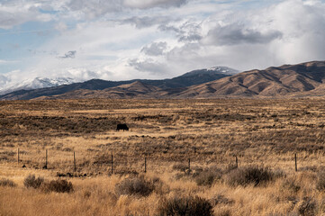 Sawtooth Mountains with pasture