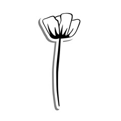 Monochrome flower on white silhouette and gray shadow. Vector illustration for decoration or any design.