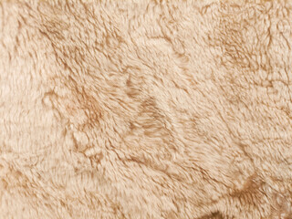 Beige striped wool texture, beautiful abstract fur background