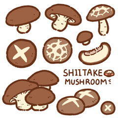 shiitake mushroom cartoon drawing set