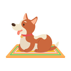 dog sitting on rug, cartoon illustration. Happy little and elderly pet character growing, playing with ball isolated on white background