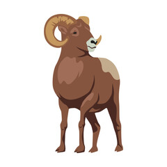 Bighorn with big horns, cartoon illustration. Ram, sheep, mascot vector isolated on white background