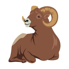 Brown bighorn, cartoon illustration. Ram, sheep, mascot with big horns vector isolated on white background