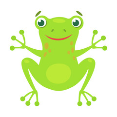 Cute frog crouches cartoon illustration. Funny green croaking toad isolated on white background. Flat vector