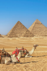 The Pyramids of Giza in Egypt