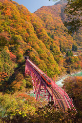 紅葉の黒部峡谷鉄道の鉄橋とトロッコ