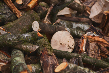 chopped firewood. A pile of logs. Trees has been cut and split into firewood to be used as fuel for heating in fireplaces and furnaces