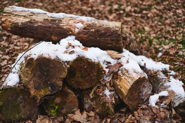 A pile of logs under snow. Firewood stacked and prepared for winter
