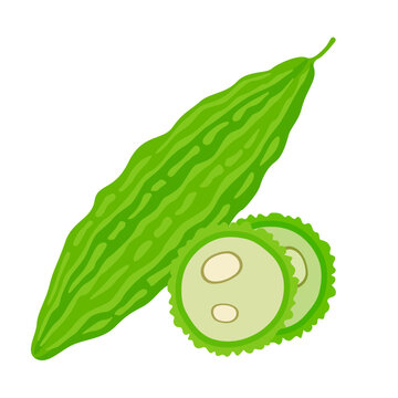 Bitter Gourd With Slices Vector Illustration Flat Style Clipart