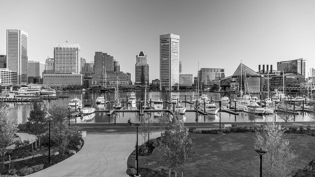 Fototapeta Downtown Baltiimore city skyline cityscape of Maryland
