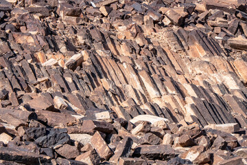 Regular prismatic large quartzite crystals. Holm Carpenter. Ramon crater.