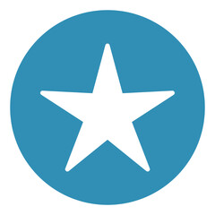 star round icon