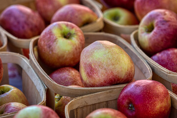 Apples in baskets for sale at the farmer's market.