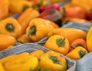 Orange and yellow peppers for sale in the farmer's market.
