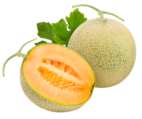 Yellow melon or cantaloupe on white background, Sweet melons  on white background PNG File.