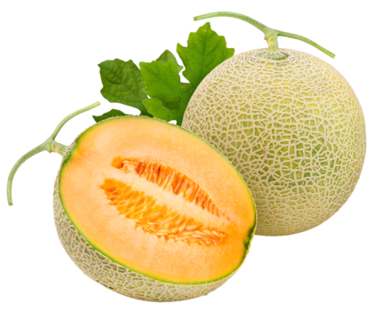 Yellow melon or cantaloupe on white background, Sweet melons  on white background PNG File.