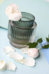 Delicate  white roses in small  glass vases