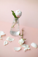 Delicate  white roses in small  glass vases