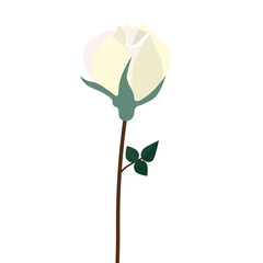 BeautifulValentine with White Rose on Transparent and Edit for design. White Rose flower with leaves on white PNG background vector illustration. 06