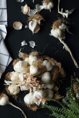 Group of garlics on a black background