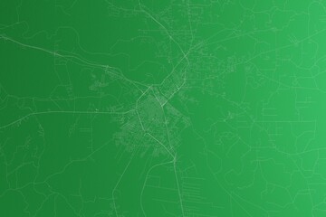 Map of the streets of Alexandria (Louisiana, USA) made with white lines on green paper. Rough background. 3d render, illustration