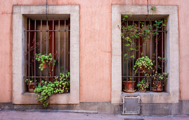 Fototapeta na wymiar Frontal view of a pink traditional house facade in a small French village. two large windows with bars and flower pots. Green plants hang in the window