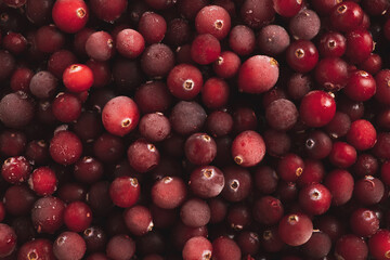 Cranberries berry texture. Vitamins C, antioxidants, healthy organic food. Top view, flat lay