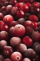 Fresh cranberries berry closeup. Healthy organic food, antioxidants, vitamins C. Food background. Macro, vertical