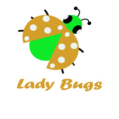 Hemiptera is an order of insects also known as ladybugs, Hemiptera consists of 80,000 species of insects