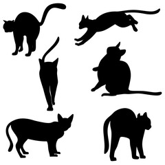 Collection of black cats on a white background. Cats in various body poses. Vector silhouette
