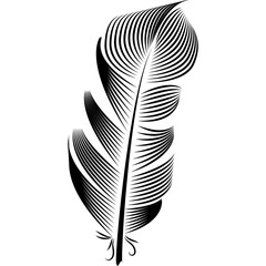 feather illustration, drawing, engraving, ink line art