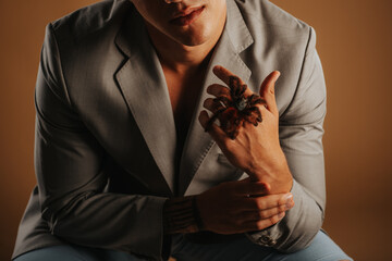 Tarantula on the hand