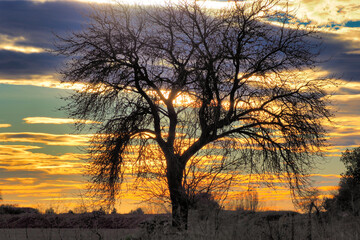 Fototapeta premium Sunset in the countryside 