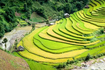 Photo sur Plexiglas Mu Cang Chai Paysage de rizières en terrasses pendant la saison des récoltes dans le district montagneux de Mu Cang Chai, province de Lao Cai, Vietnam.