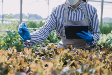 female farmer working early on farm holding wood basket of fresh vegetables and tablet..